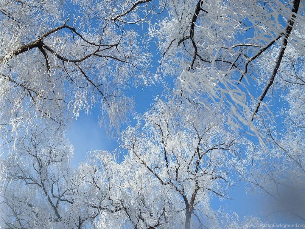 China Travel : China Winter Tour Of Scenic Snowscape 1600x1200 NO ...