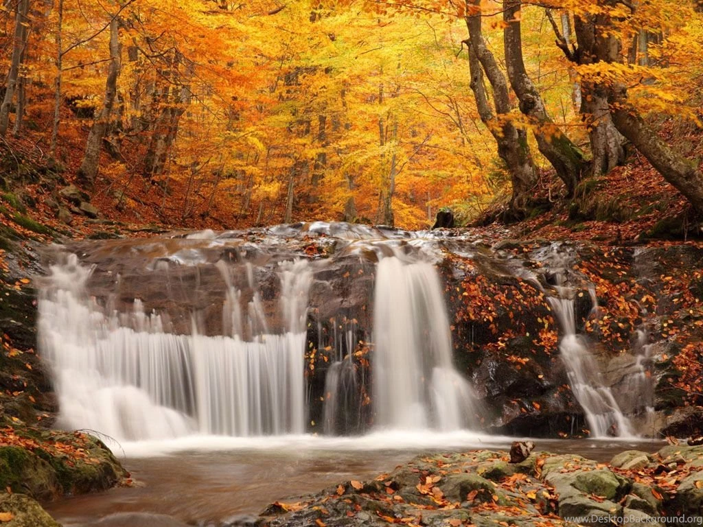 Waterfalls Scenery Wallpapers Wallpapers Pictures Gallery