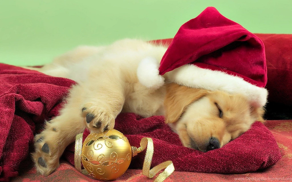 Christmas Background Images For Desktop Dowload