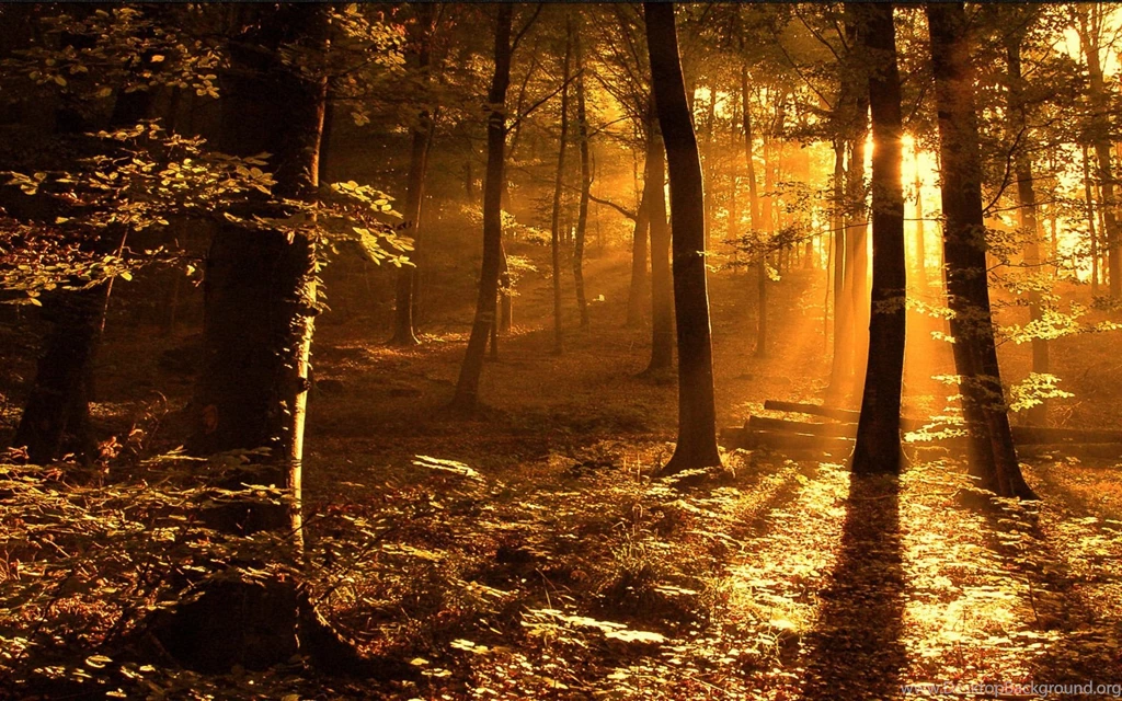 Scenic Computer Wallpapers, Desktop Backgrounds