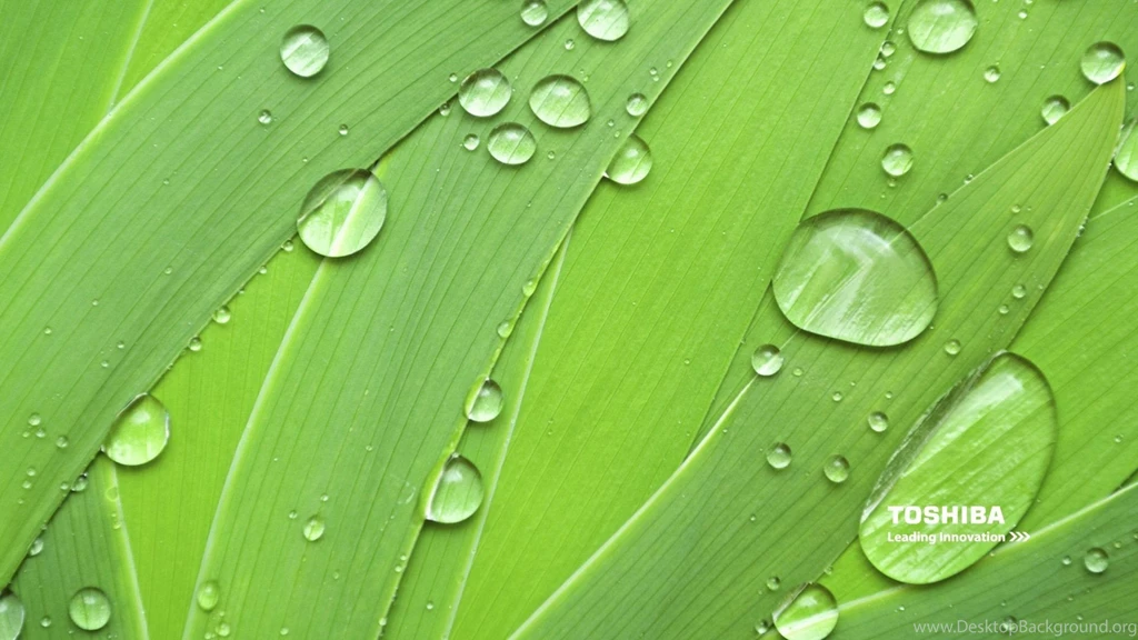TOSHIBA Computer Wallpapers