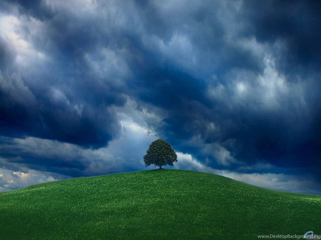 Wallpapers Tree, Blue, Clouds, Field, Thunderstorm, Before ...