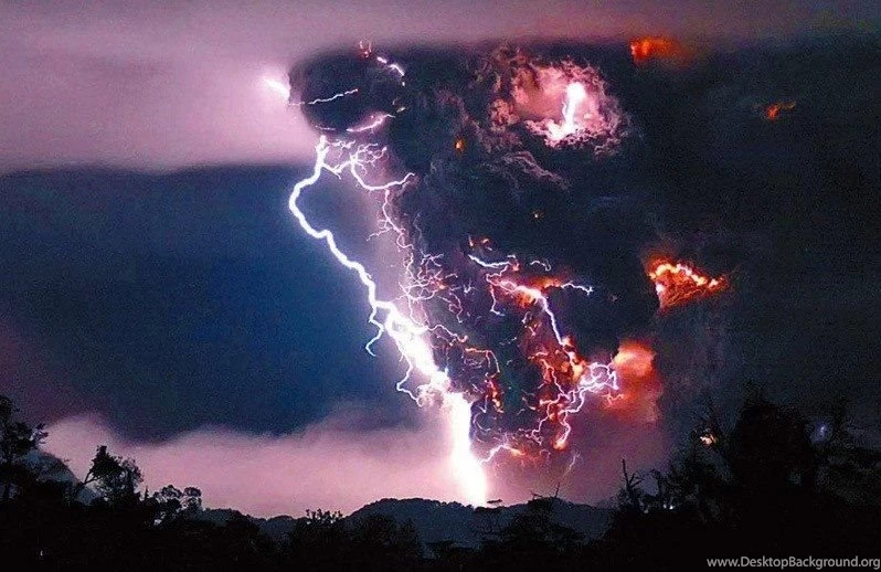 Natural Incidents Perfectly Timed Photos Free Download
