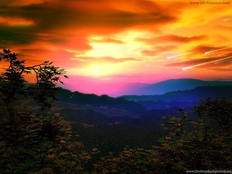 Free Wallpapers 823 HD Wallpapers