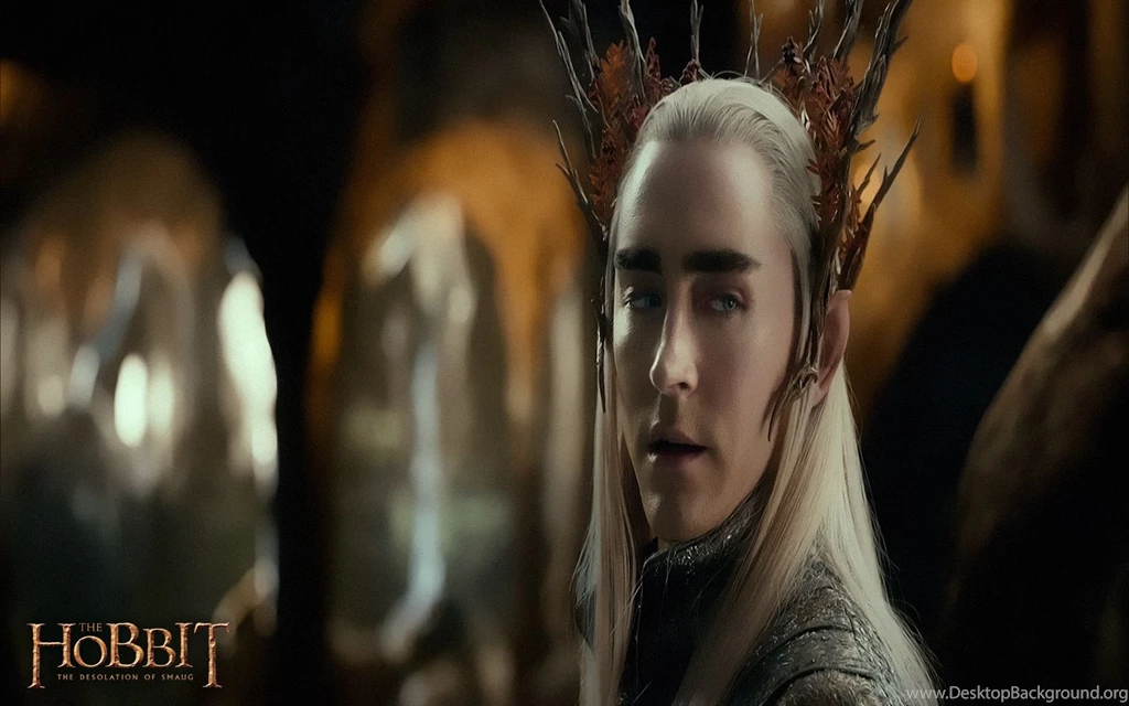 The Hobbit The Desolation Of Smaug Wallpapers 1920x1200 (9)