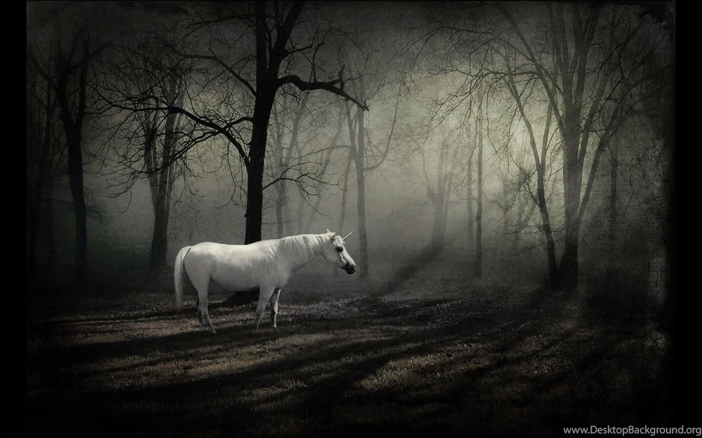 Dark Forest Backgrounds With Horse 13101 Full Hd Wallpapers Desktop ...