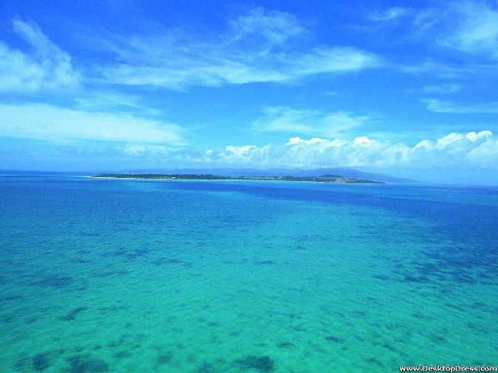 Desktop Wallpapers » Natural Backgrounds » Coral Reef » Www ...