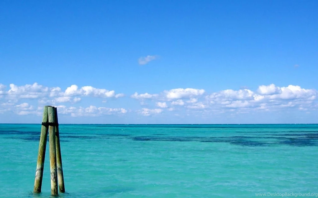 Free Beach Wallpapers Logs In The Ocean Wallpapers