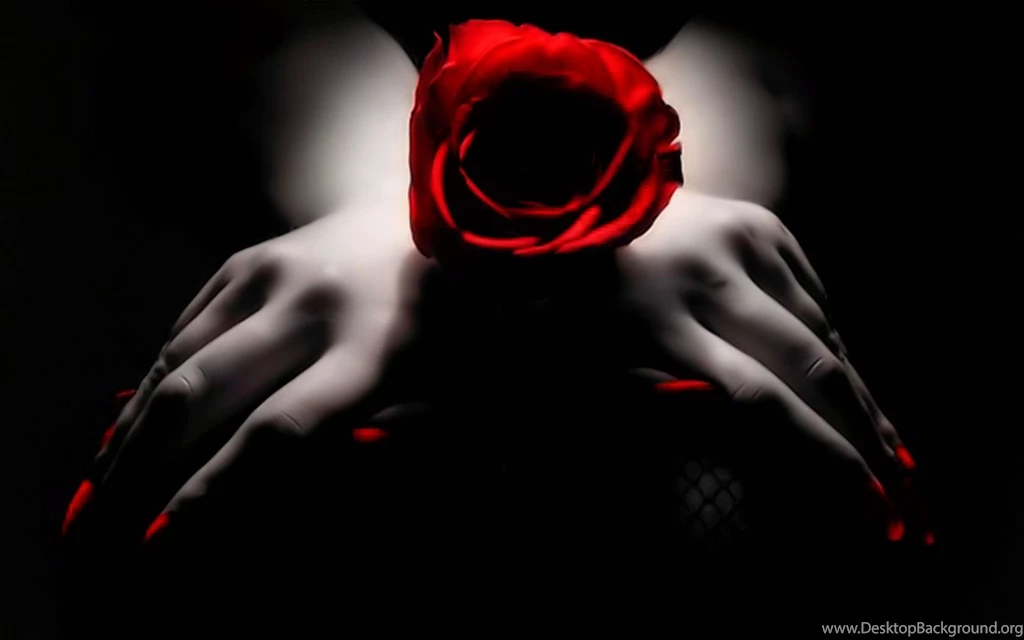 Black And Red Rose Wallpapers Wallpapers HD Wide