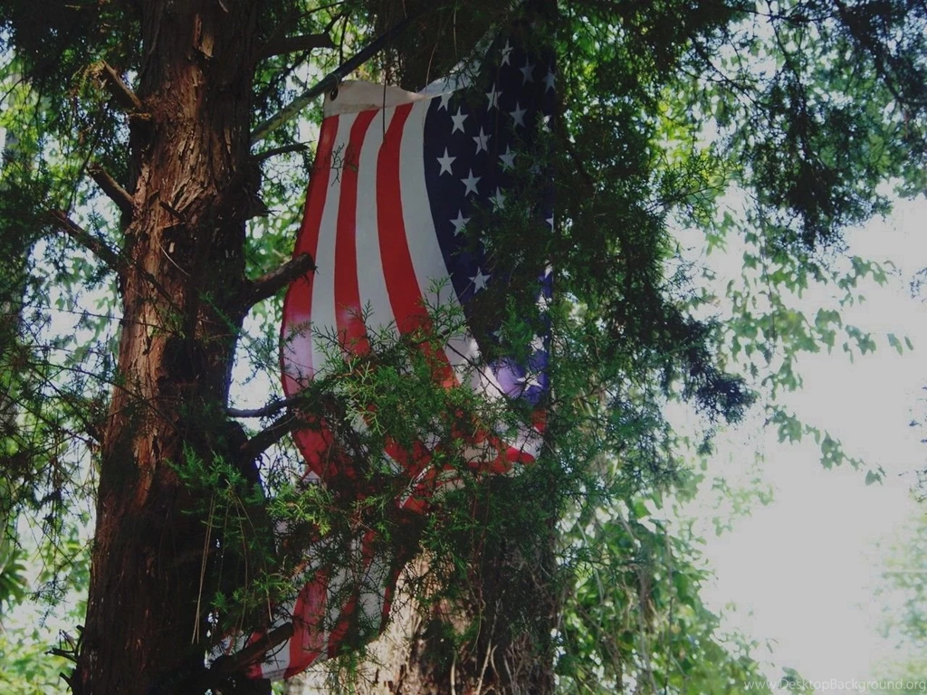 Other: USA Flag Stripes Cedar Red Nicely Wallpapers Wide For HD 16 ...