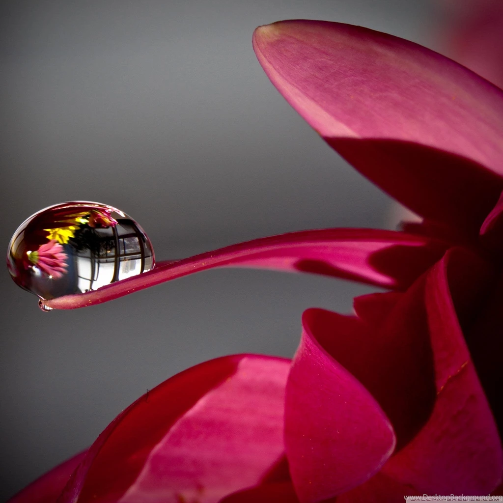 Z Wallpapers New Ipad 3 And 4 Apple Awesome 63 2048 X 2048 New ...