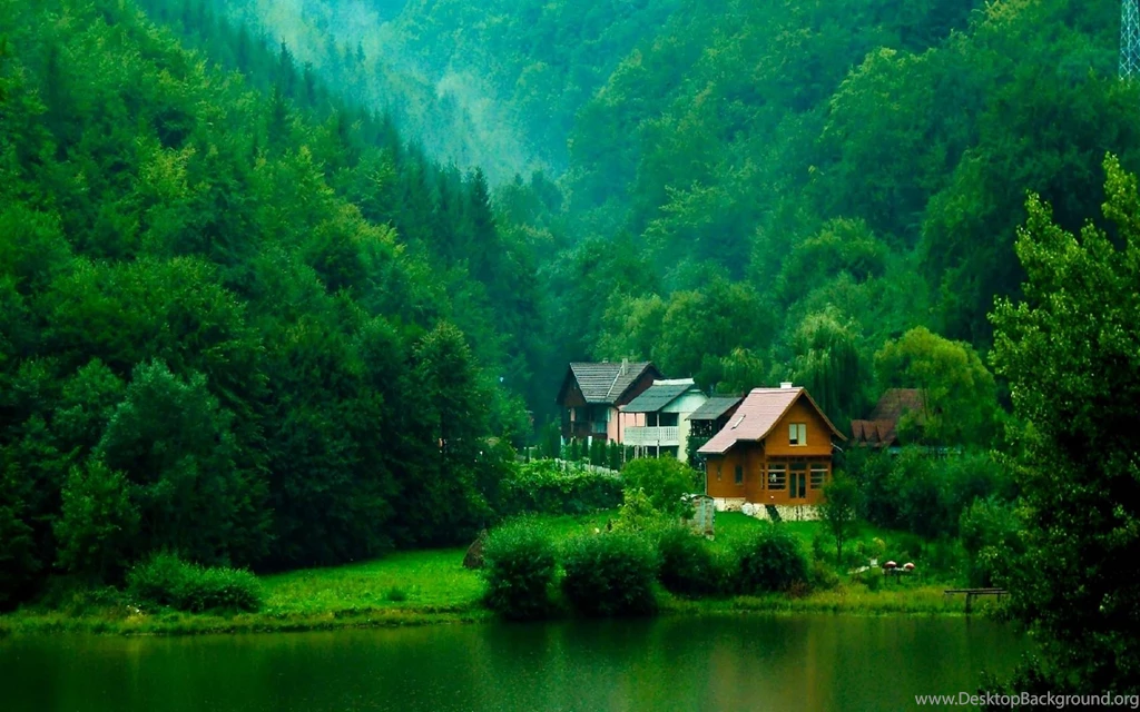Forest House HD Wallpapers & Backgrounds, Nature HQ Pics