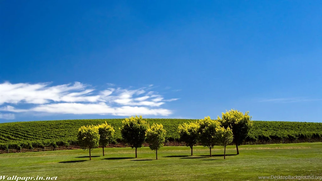 Best Site To Download Hd Wallpapers