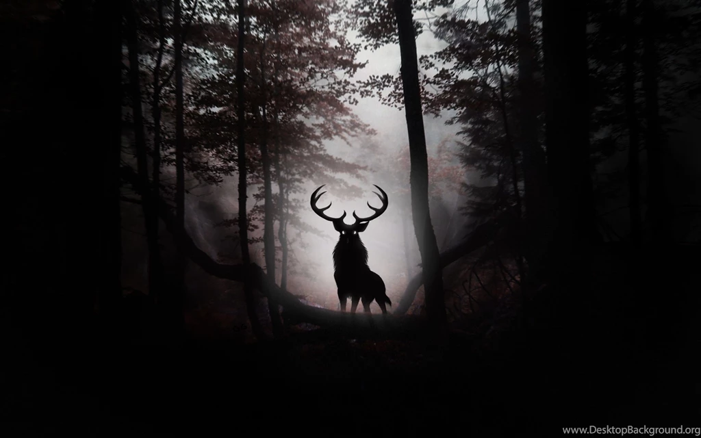 Legend Of Ghost Deer Of Forest Wallpapers HD.