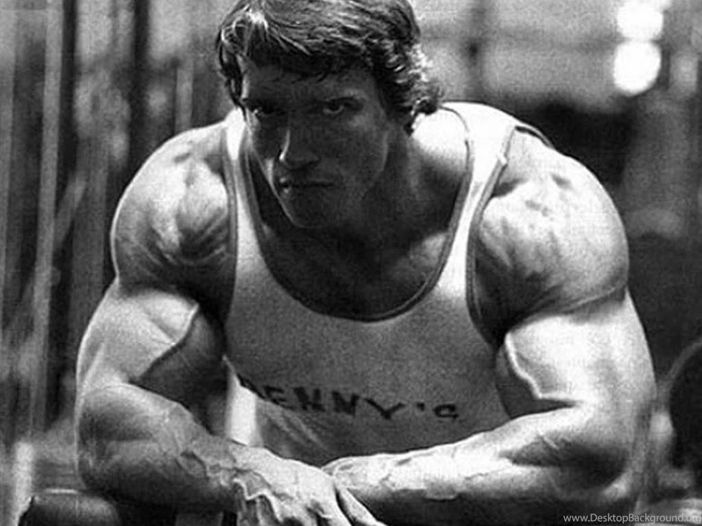 Arnold schwarzenegger bodybuilding wallpaper normal wallpaper 1935900565.jpg