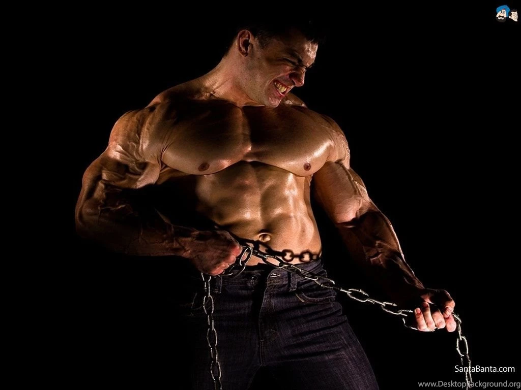 Bodybuilding Wallpapers