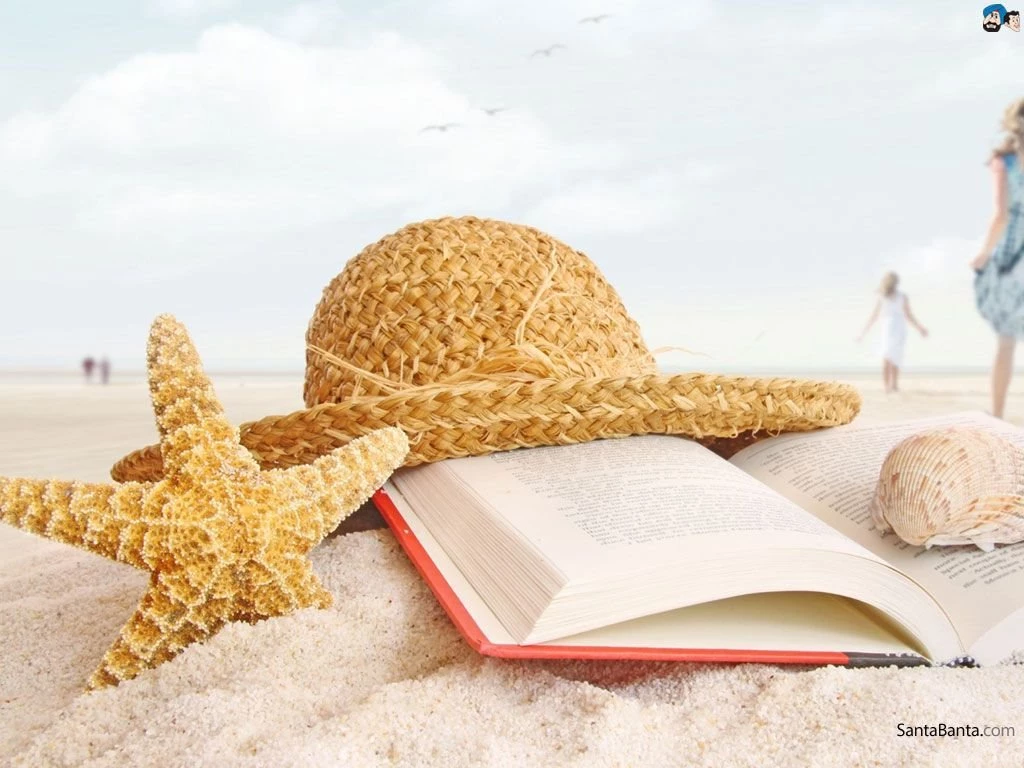 Seashells Wallpapers