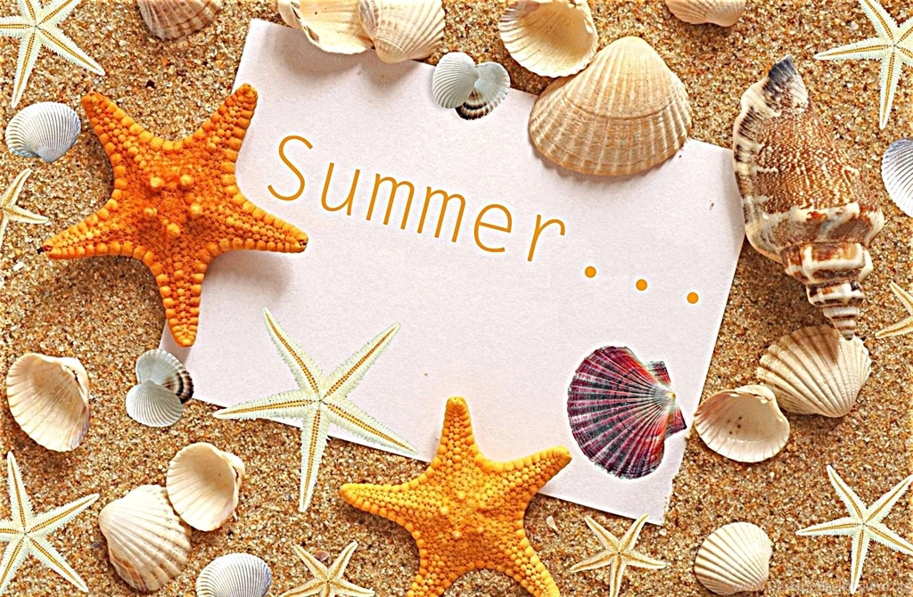 Summer_sand_shells_starfishes_seashells_hd wallpaper 1764272.jpg