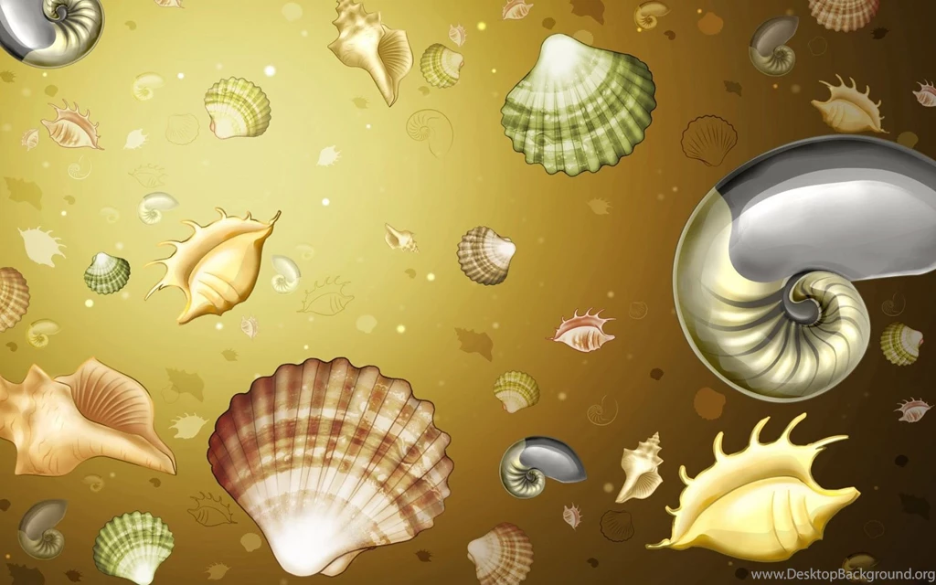 Desktop Wallpapers · Gallery · 3D Art · Seashells