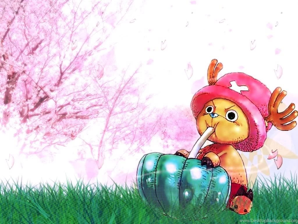 Ayunie Shayuni: I'm Chopper