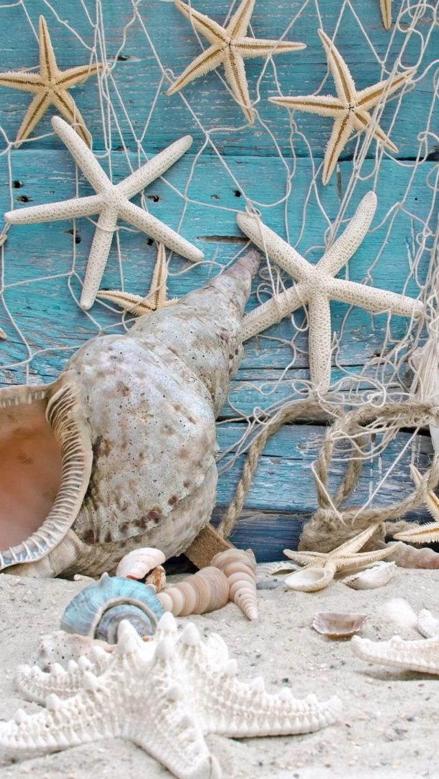 Seashells 640x1136.jpg