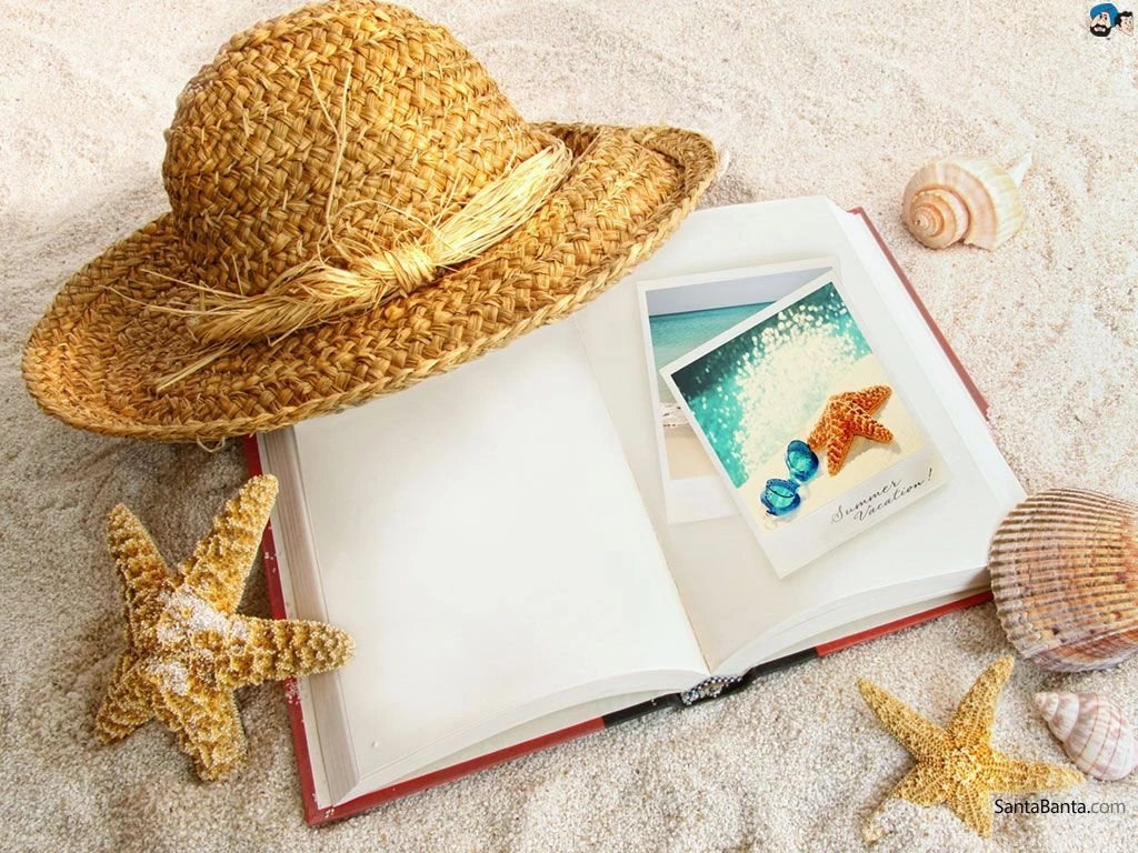 Seashells Wallpapers