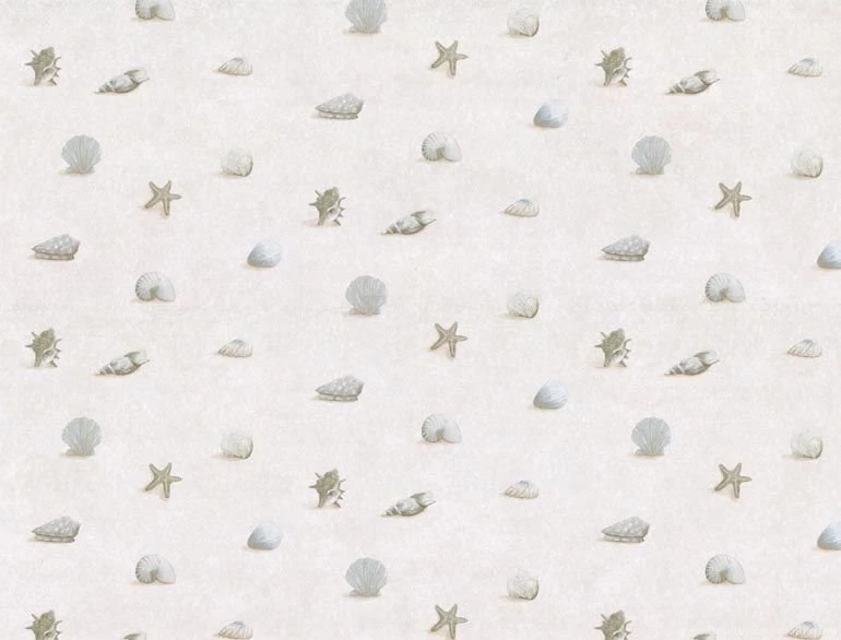 Cuarto De Baño Conchas Marinas Wallpapers COV3679