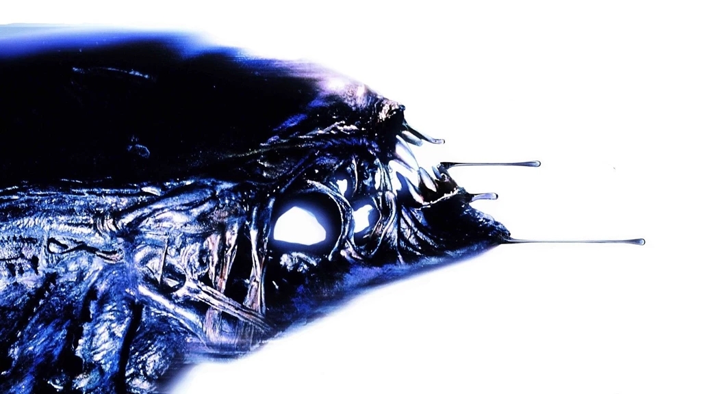 Wallpapers Of Alien Vs Predator In High Definition AVP On Earth