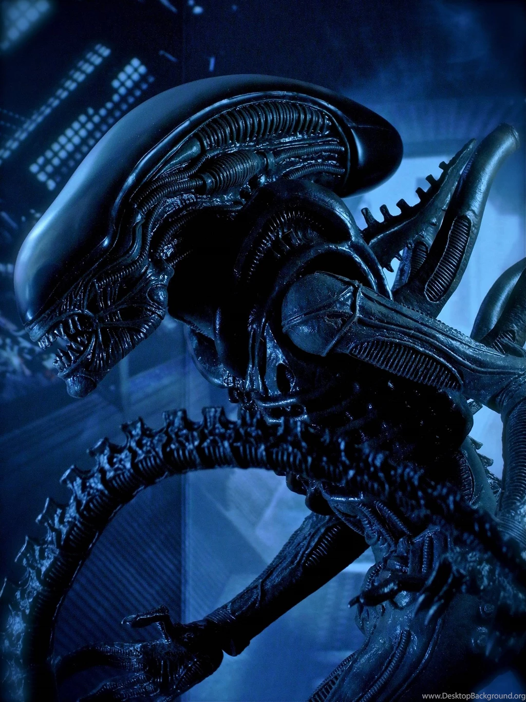 Aliens movie 2160x2880 wallpaper 810308.jpg