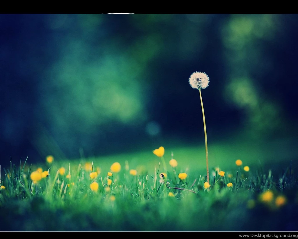 Nexus 7 Wallpapers 9