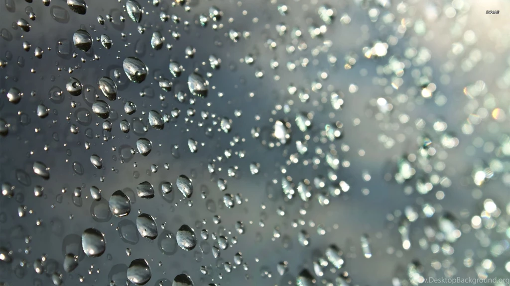Water Drops Wallpapers   Photography Wallpapers