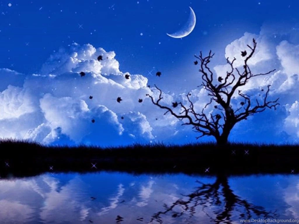 Rromantic Wallpapers Shayari,shayari Good Morning,latest Dard ...