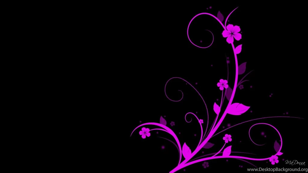 Bright Pink On Black >> HD Wallpaper, Get It Now!