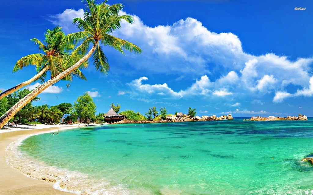 Tropical Beach Hammock Wallpaper.