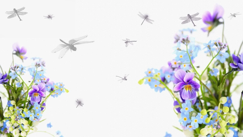 Pansies Dragonflies >> HD Wallpaper, Get It Now!