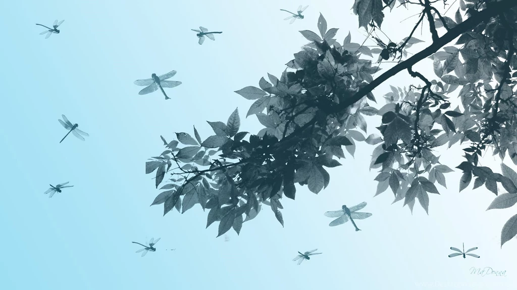 Leaves Dragonflies >> HD Wallpaper, Get It Now!