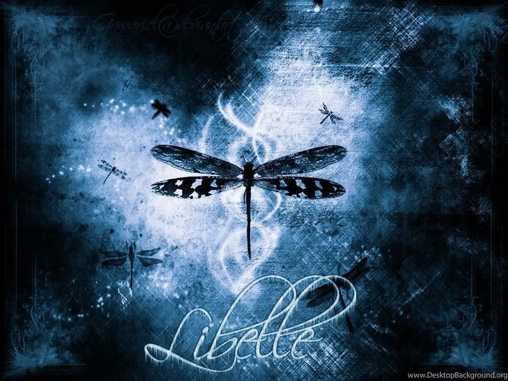 Dragonfly Backgrounds   Wallpapers Cave