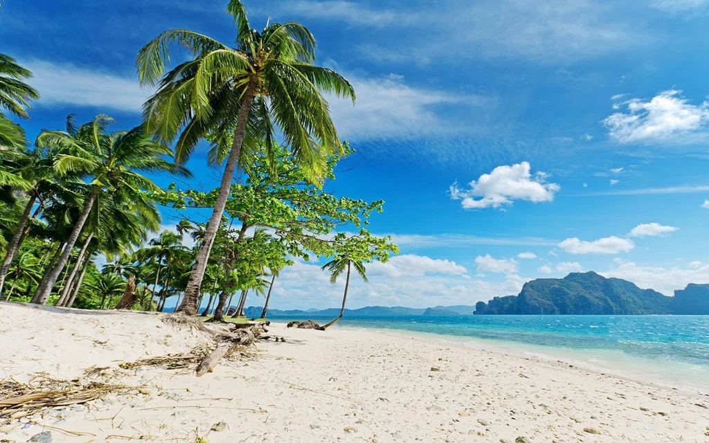 Tropical Beach Best Picture