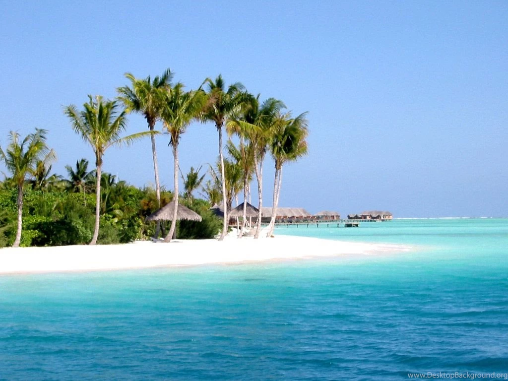 Tropical Beach Quotes. QuotesGram