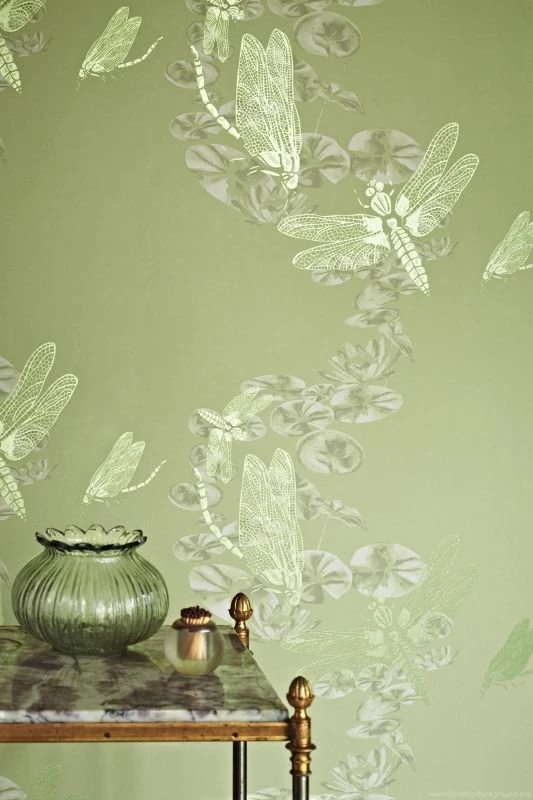 Pewter Dragonfly Wallpapers Pewter By Barneby Gates