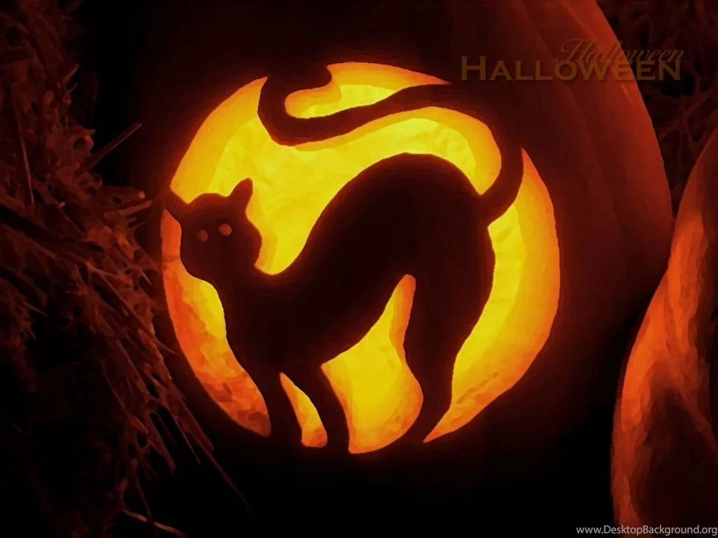 Halloween Black Cat Pictures   Wallpapers HD Wide