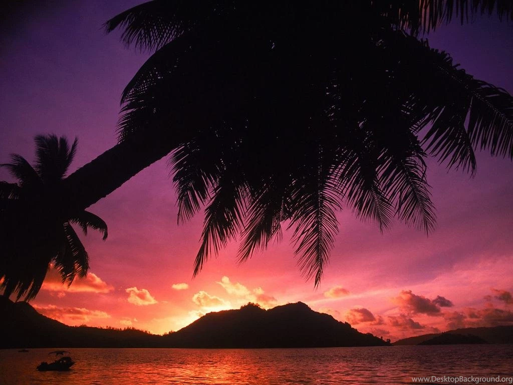 Tropical Beach Backgrounds Wallpapers 197806