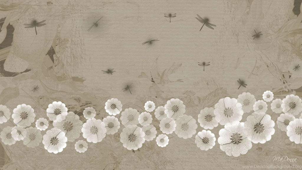 Dragonfly Floral >> HD Wallpaper, Get It Now!