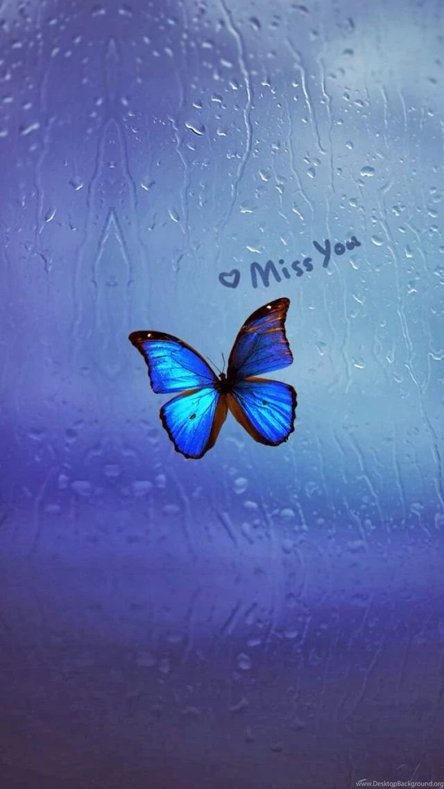 Miss You