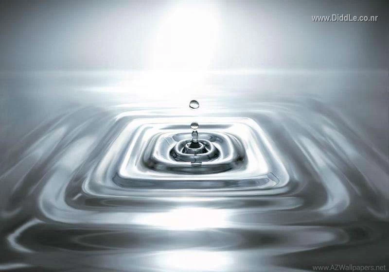 Funny Wallpapers hd Wallpapers Desktop Wallpapers: Innovative ...