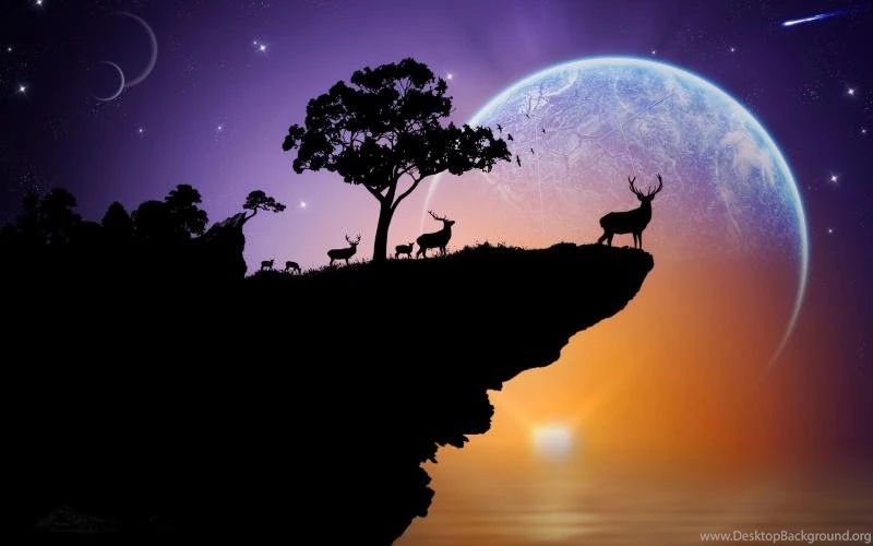 Silhouette, Deer, Planet, Sky, Stars, Trees, Rock, Sunset ...