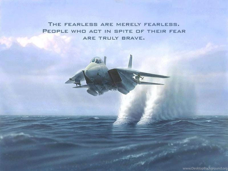 The Fearless.jpg