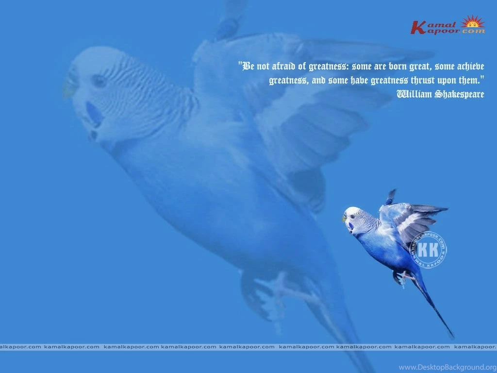 Fact Quotation Wallpapers, Quote Backgrounds, Famous Quotes ...