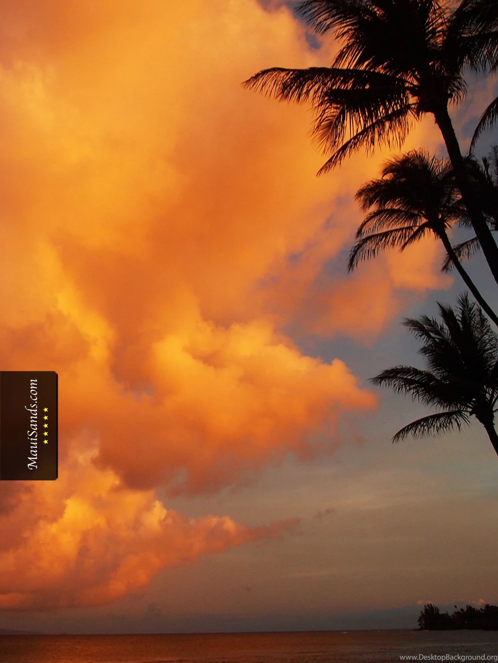 Hawaii Wallpapers From Maui Sands