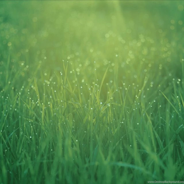 Download All The IOS 7 iPad Wallpaper Backgrounds Here   IClarified